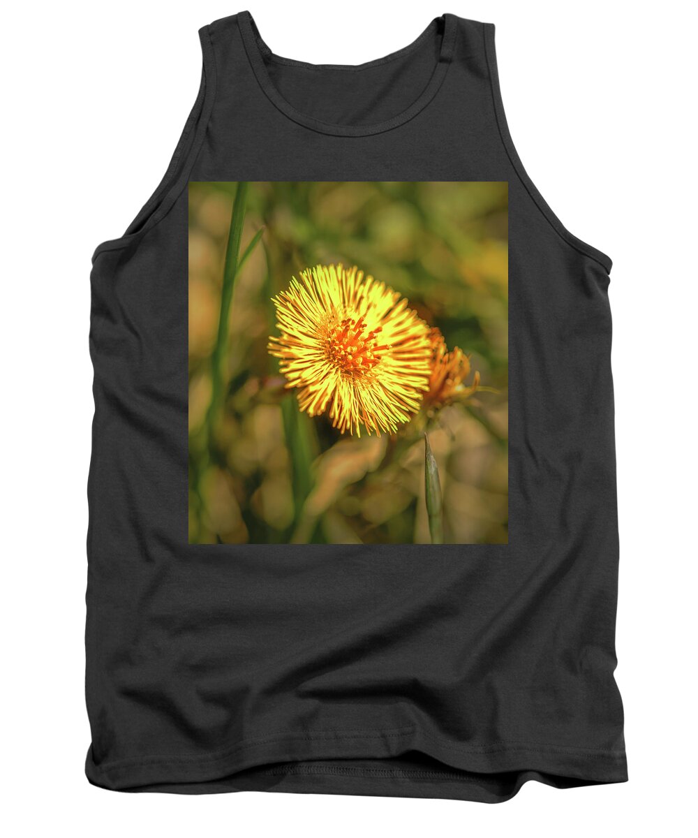 Tussilago Tank Top featuring the photograph Tussilago #g3 by Leif Sohlman