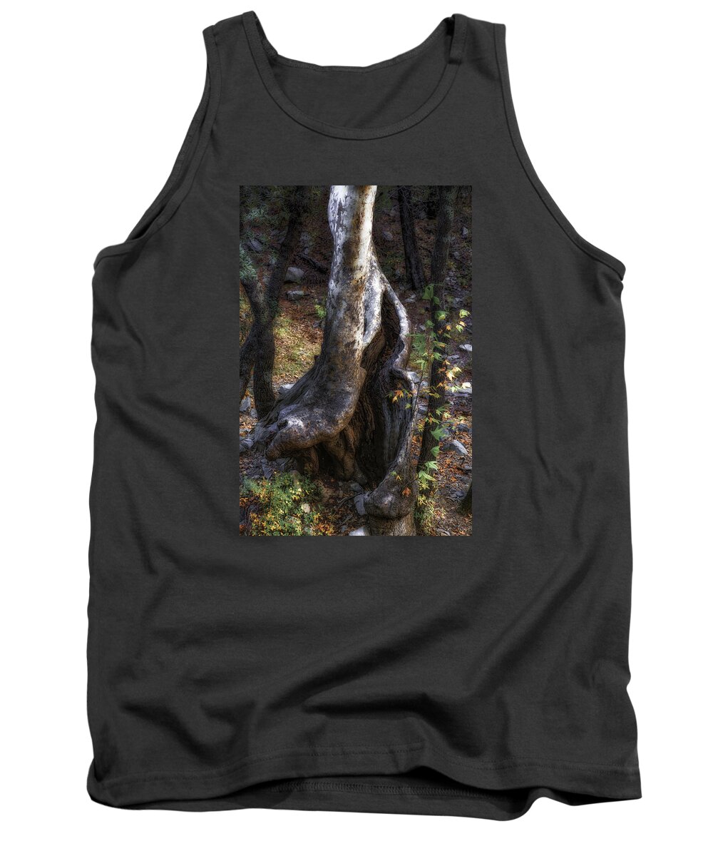 Tree; Leaves; Forest; Orange; Arizona Tank Top featuring the photograph Twisted Trunk, Santa Rita Mountains, Arizona by Michael Newberry