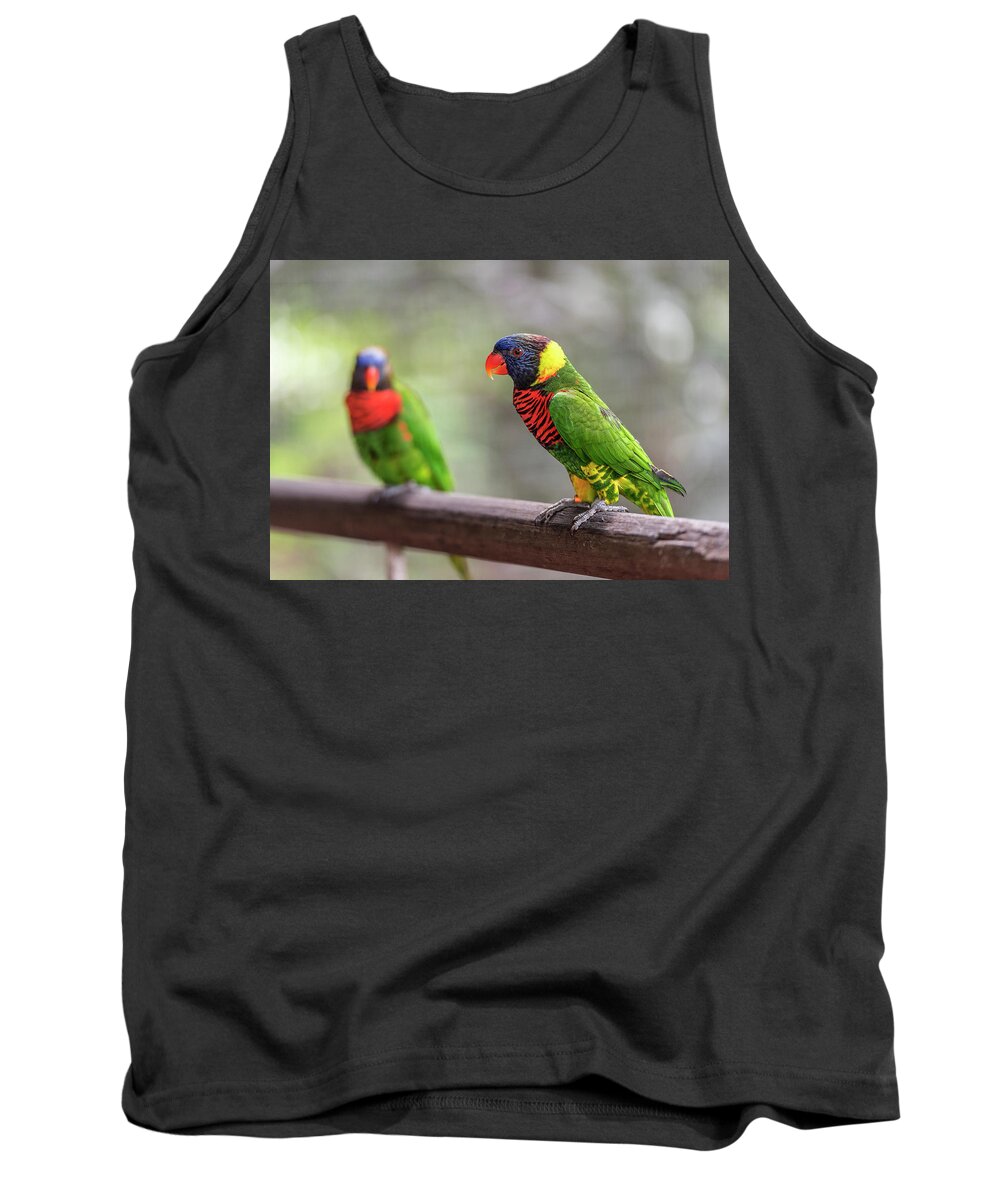 Nature Tank Top featuring the photograph Two parrots by Pradeep Raja Prints