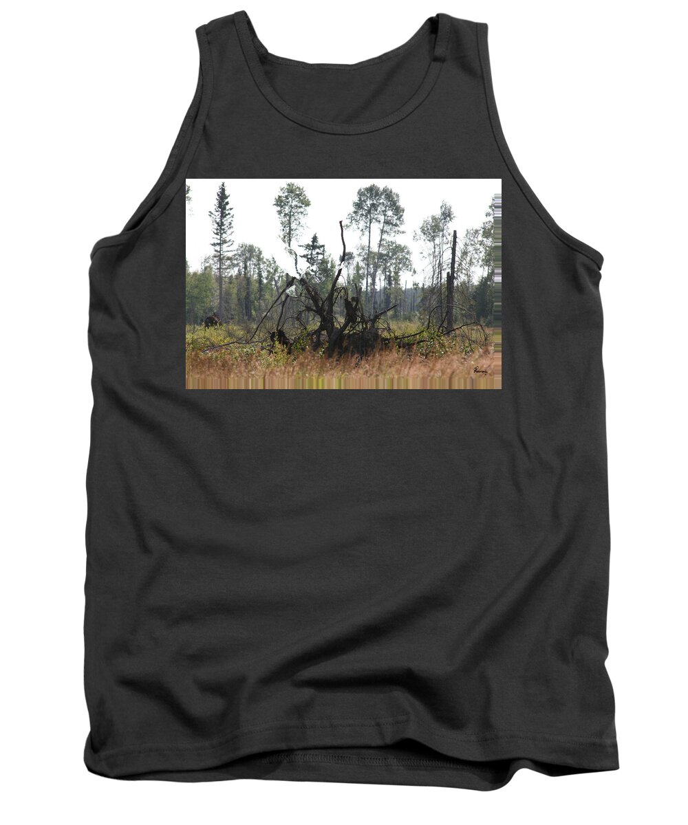 Roots Tree Stump Hawk Bird Wild Forest Nature Feeling Abstract Tank Top featuring the photograph Uprooted by Andrea Lawrence