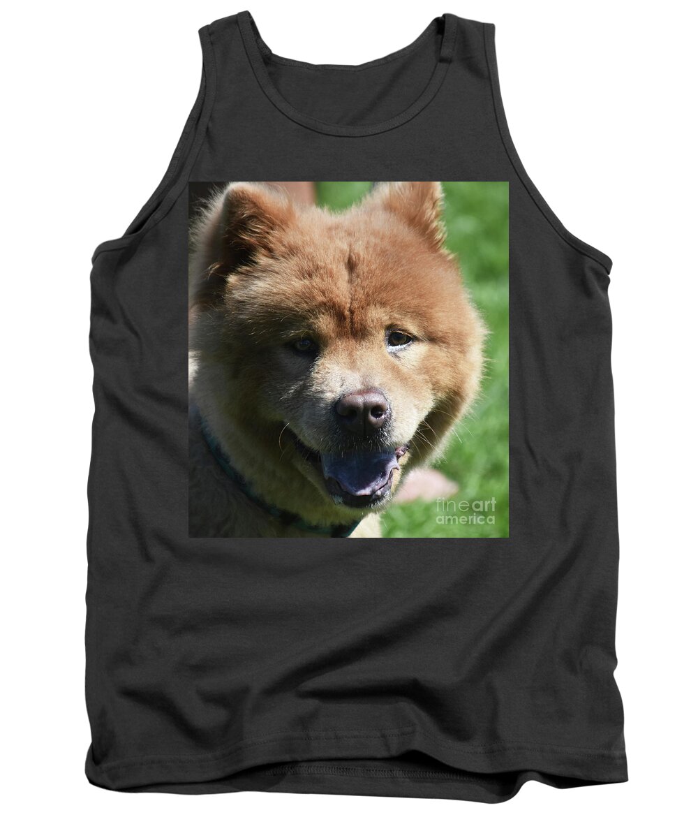 Chow Tank Top featuring the photograph Very Delightful Brown Chow Puppy from China by DejaVu Designs