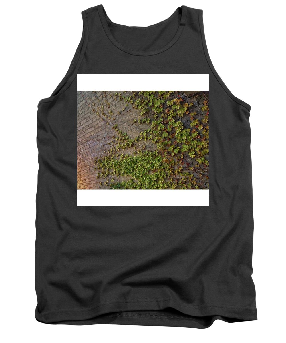 Wanderlust Tank Top featuring the photograph •vine Street• by Tai Lacroix