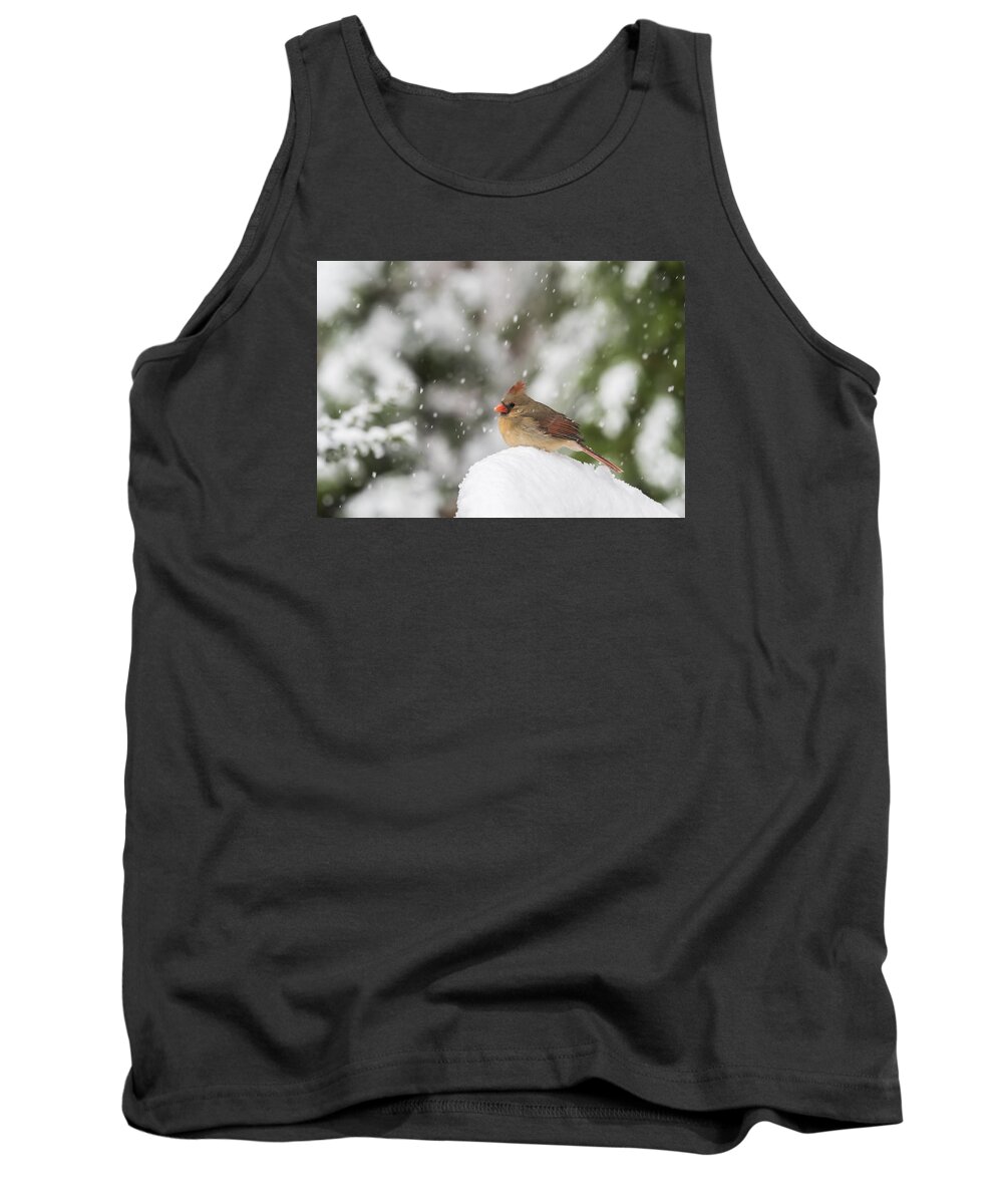 Bird Tank Top featuring the photograph Waiting Out the Snow by David Kay