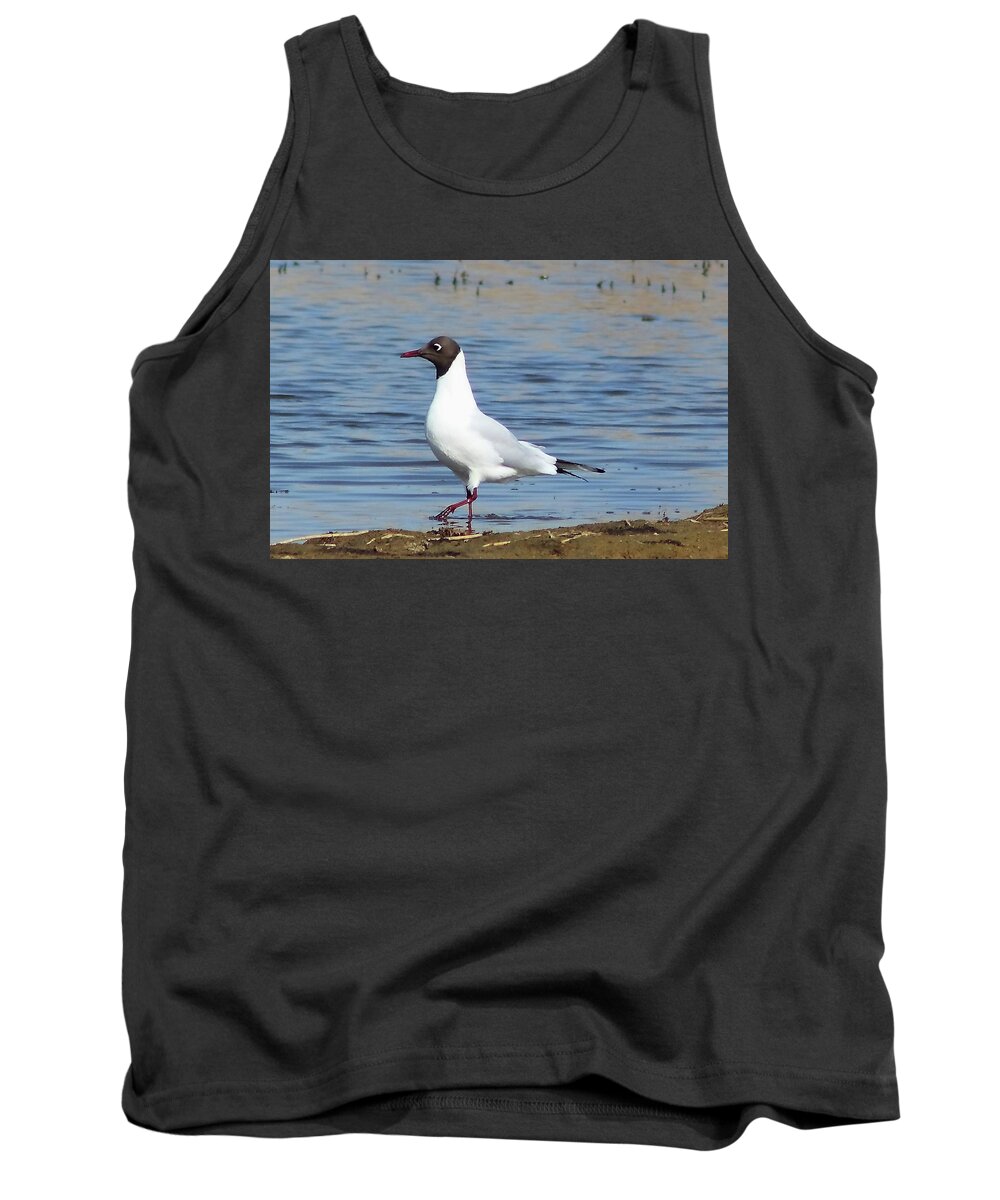 Bird Tank Top featuring the photograph Walk this Way by Jeff Townsend