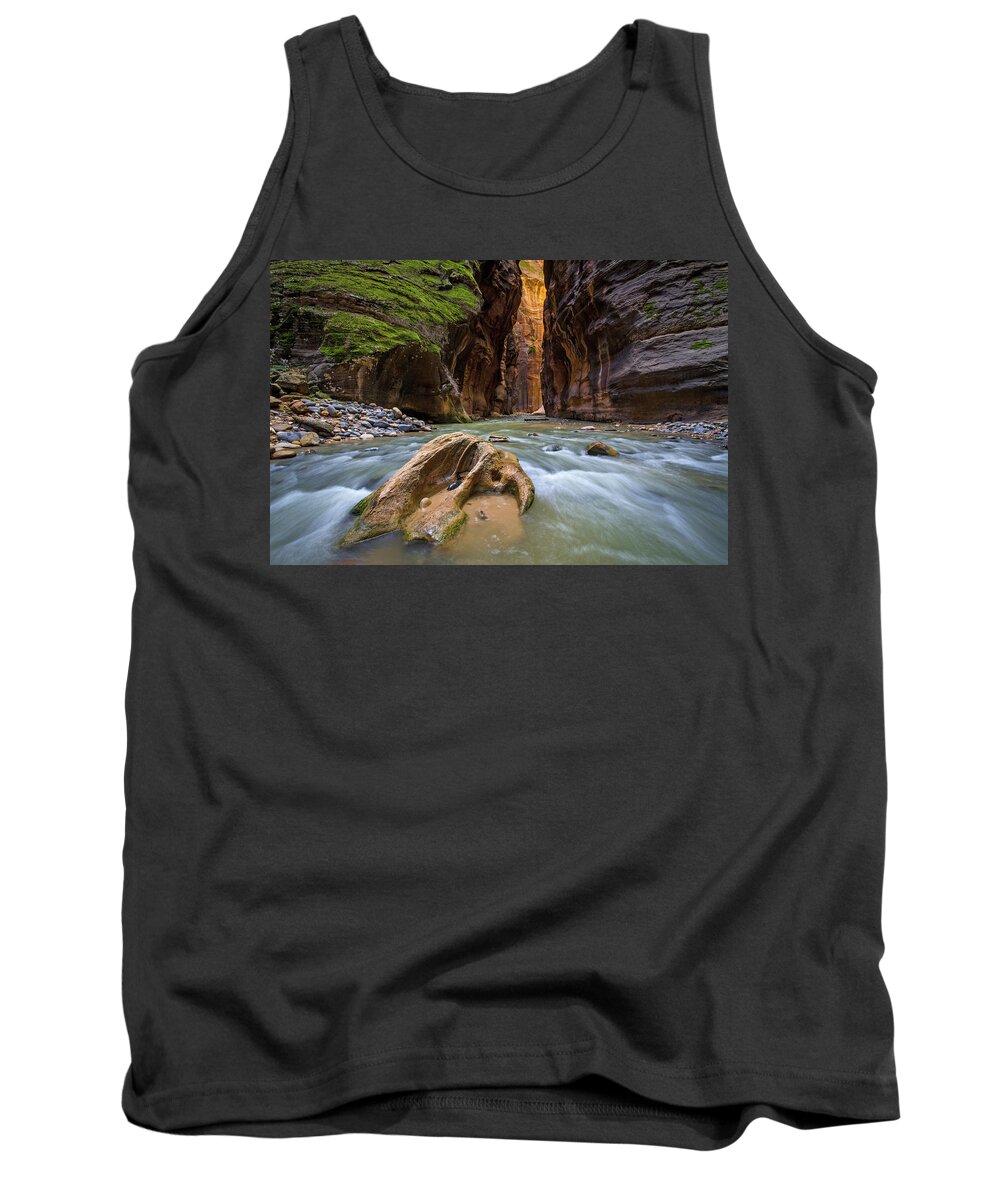 Zion Tank Top featuring the photograph Wall Street of the Narrows by Wesley Aston