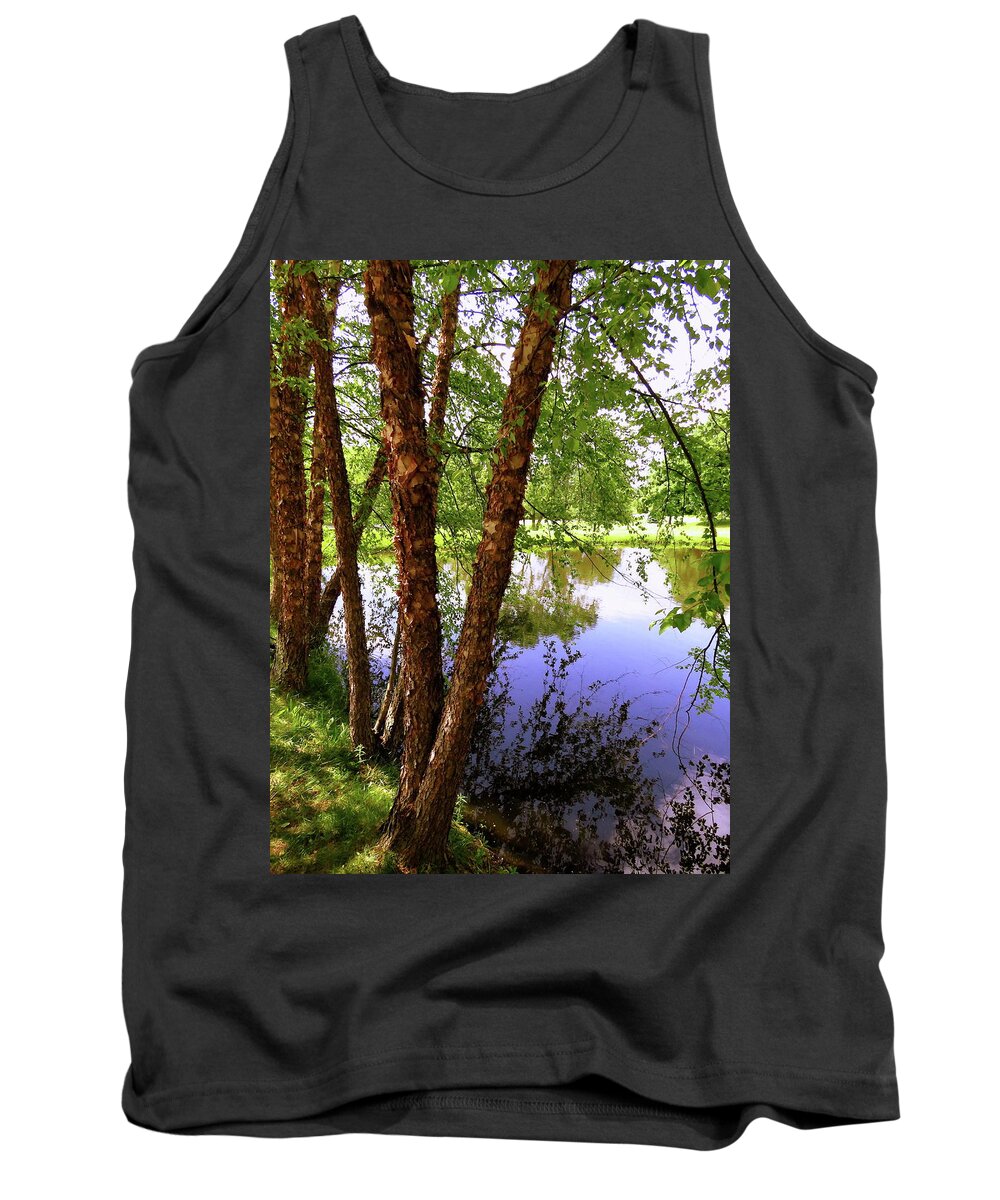 Water Tank Top featuring the photograph Water Birch by Mike Flake