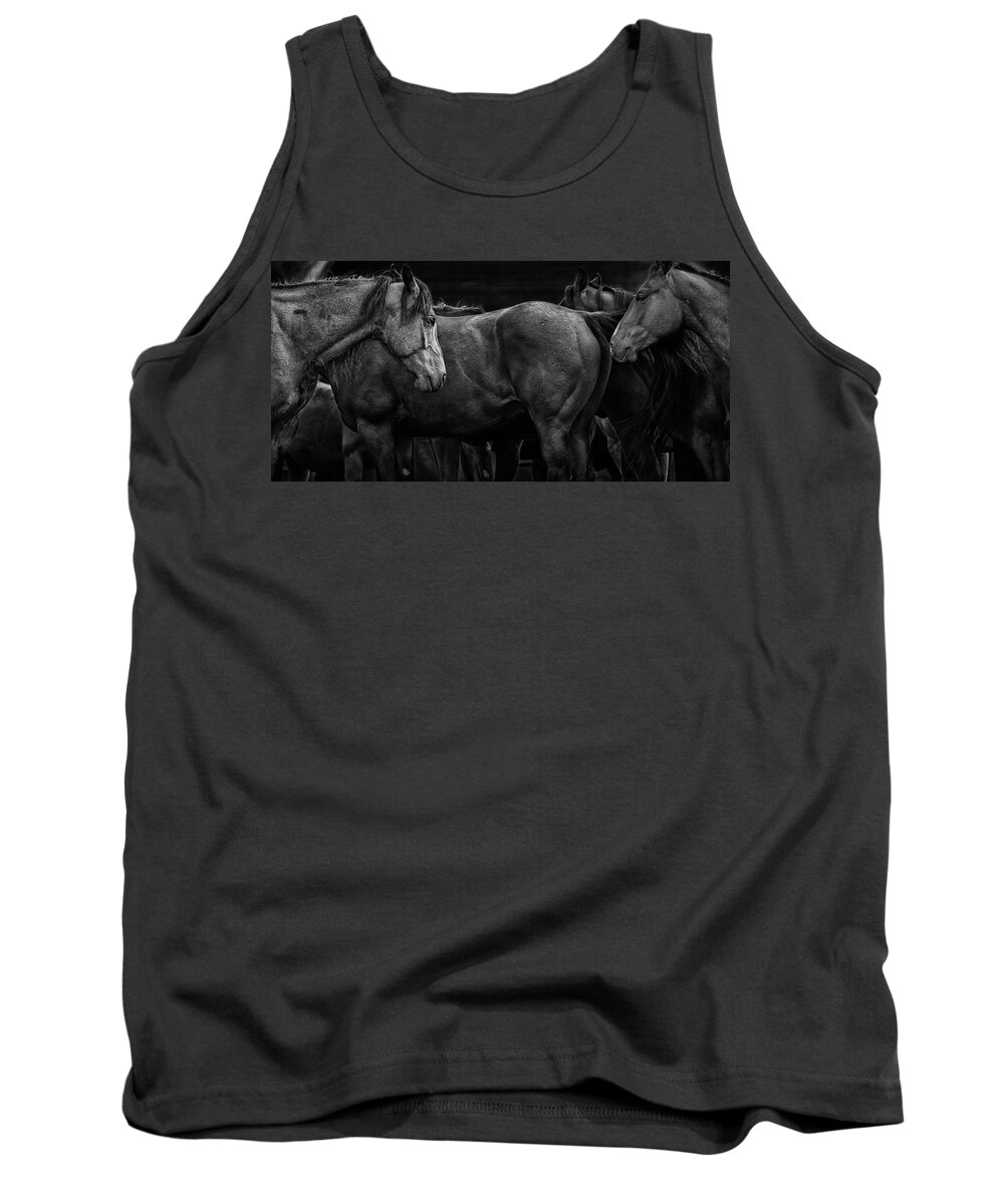 Horse Tank Top featuring the photograph We Meet Again by Ryan Courson
