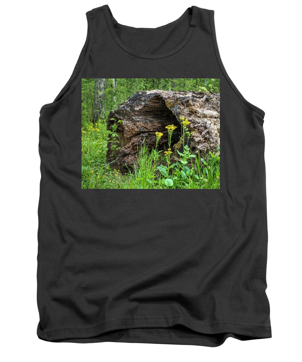 Landscapes Tank Top featuring the photograph Weathered Log in Cades Cove by Roberta Kayne