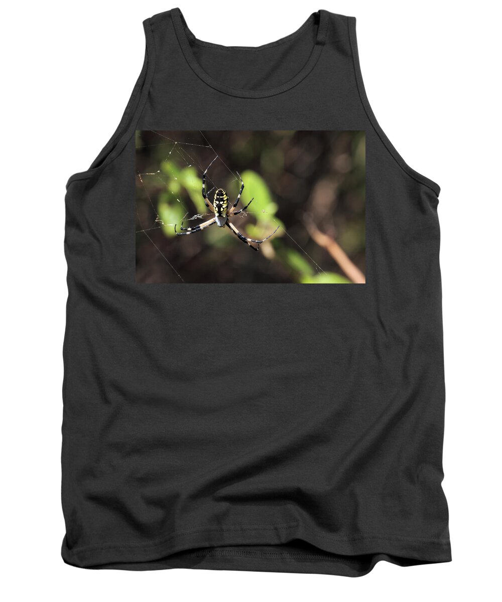 Arachnid Tank Top featuring the photograph Web Builder by Travis Rogers