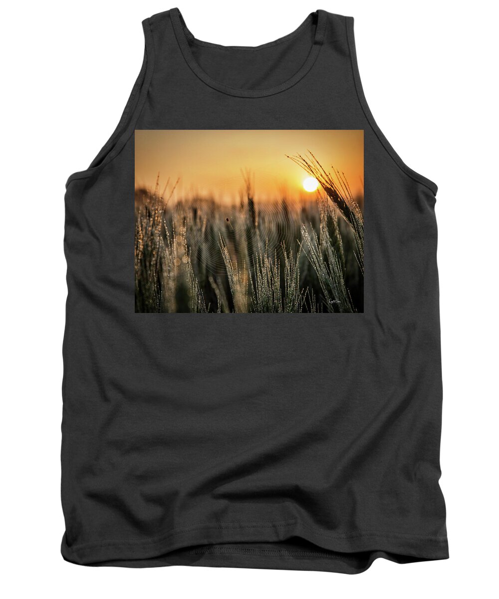 Sunrise Tank Top featuring the photograph Web by Crystal Socha