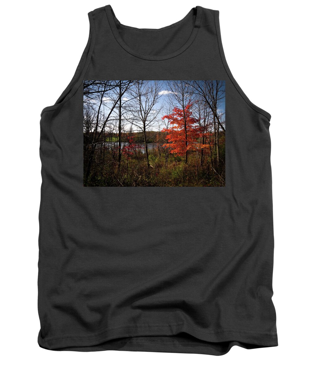  Tank Top featuring the photograph Wehr Wonders by Kimberly Mackowski