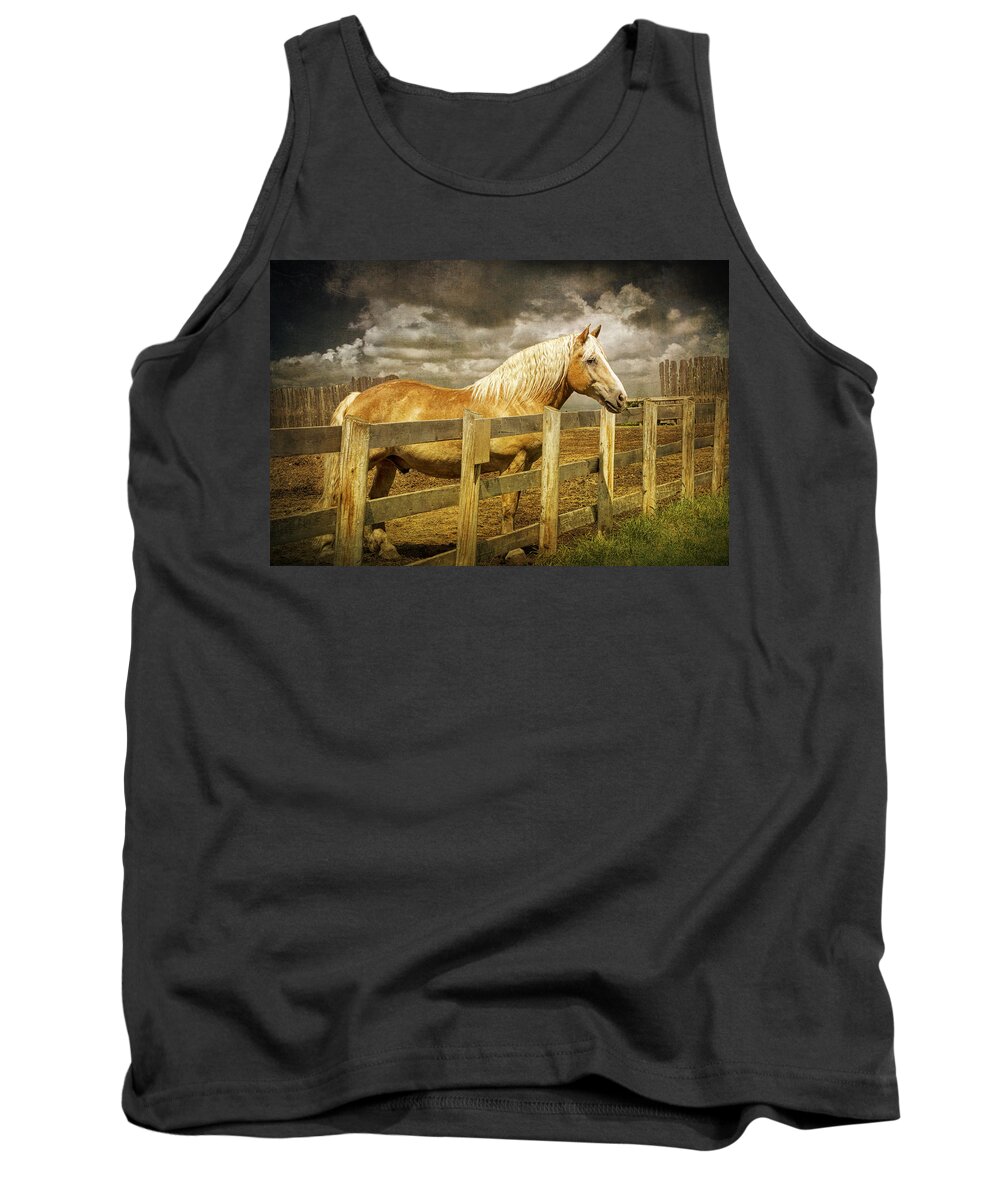 Art Tank Top featuring the photograph Western Horse in Alberta Canada by Randall Nyhof