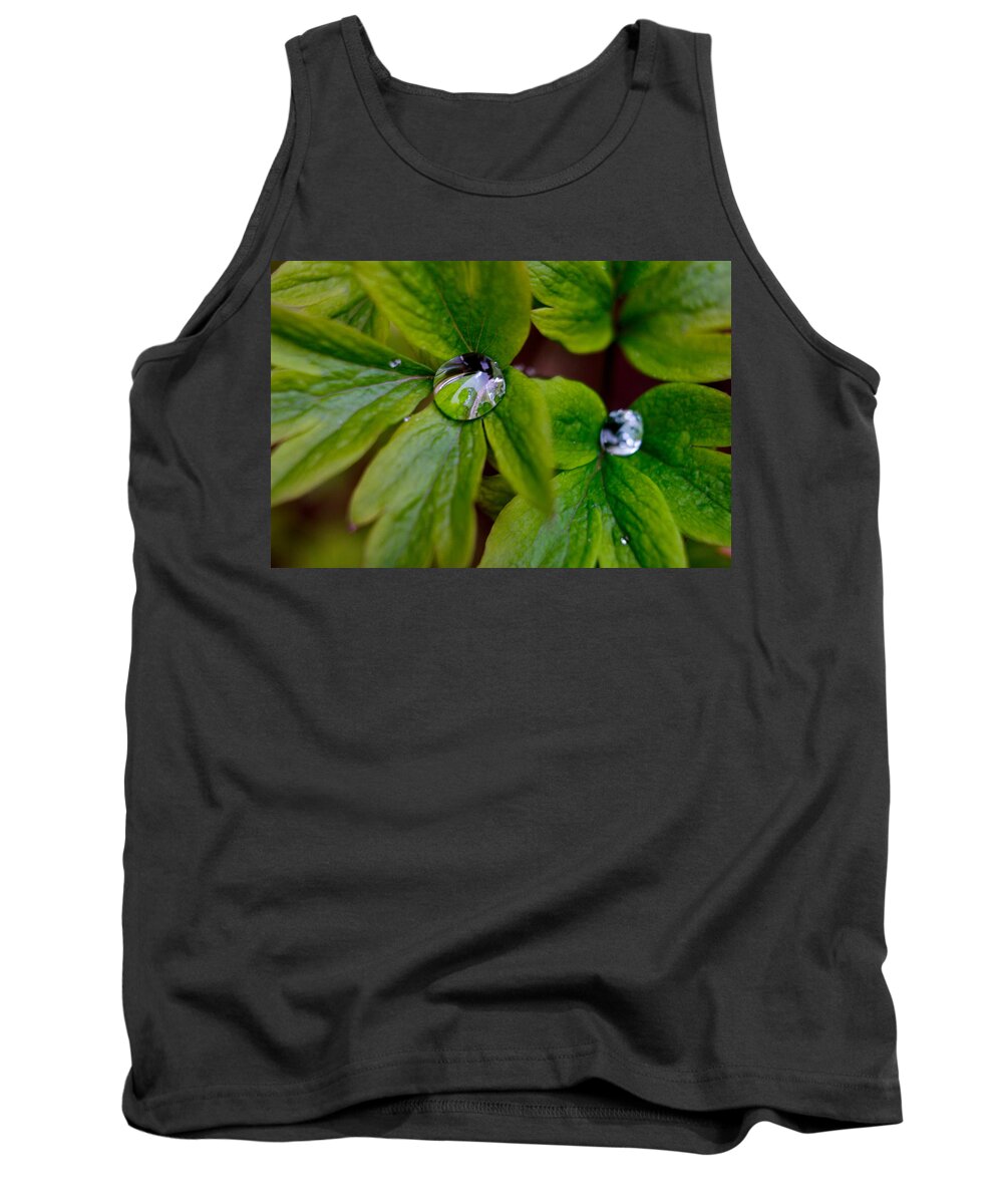 Leaf Tank Top featuring the photograph Wet Bleeding Heart Leaves by Brent L Ander