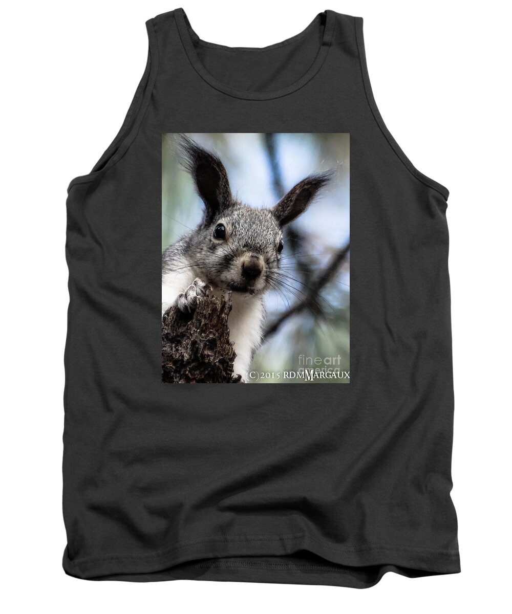 Aberts Squirrel Tank Top featuring the photograph What You Lookin At by Margaux Dreamaginations
