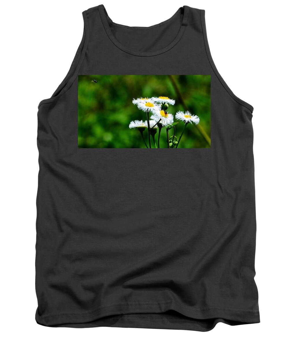 Flowers Tank Top featuring the photograph Bellis Daisy by Eileen Brymer
