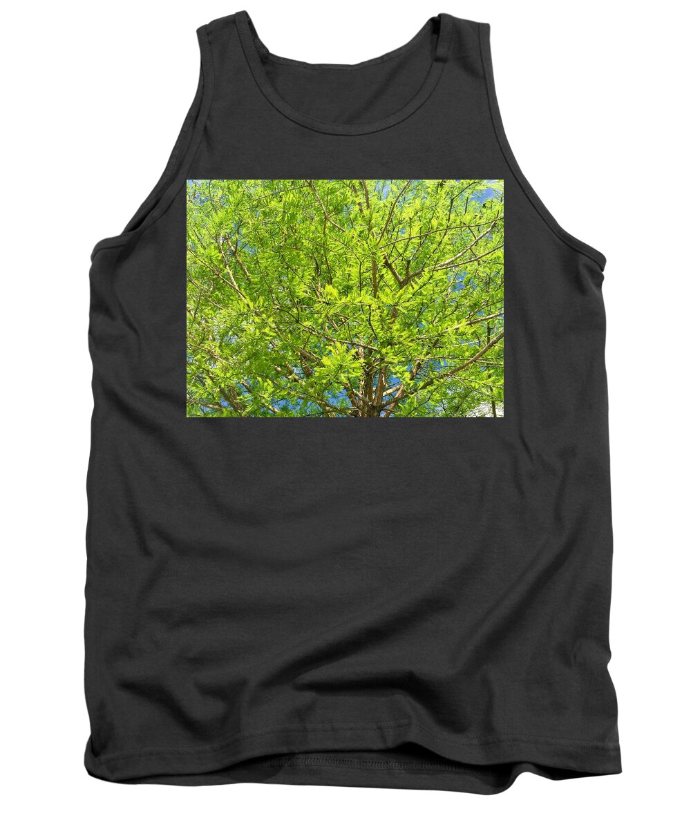 Nature Tank Top featuring the photograph Where All the Green Things Are by Etta Harris