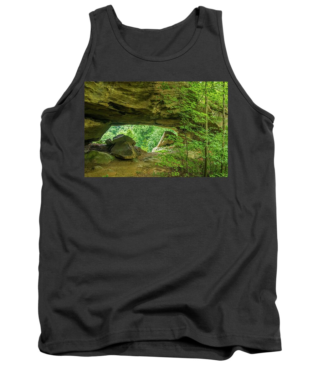 Mill Creek Lake Tank Top featuring the photograph White Branch Arch by Ulrich Burkhalter