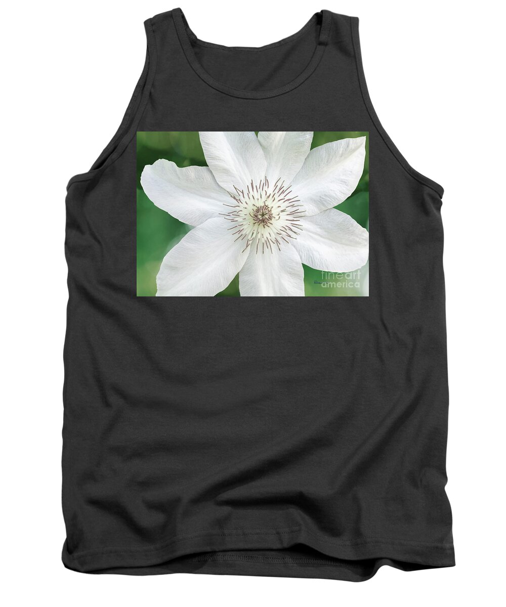 50121 Tank Top featuring the photograph White Clematis Flower Garden 50121 by Ricardos Creations