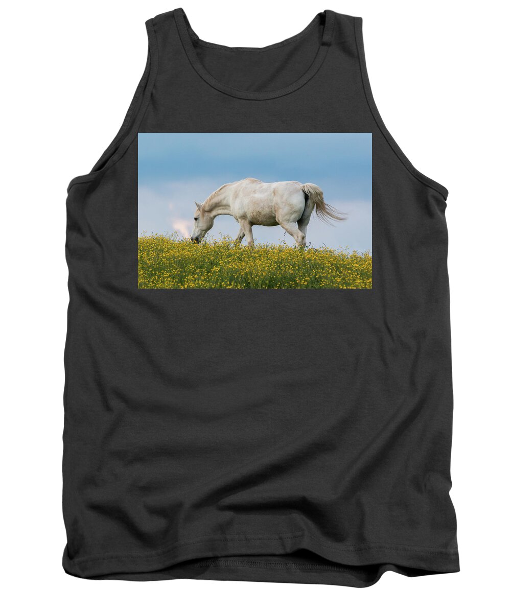 Horse Tank Top featuring the photograph White Horse of Cataloochee Ranch 2 - May 30 2017 by D K Wall