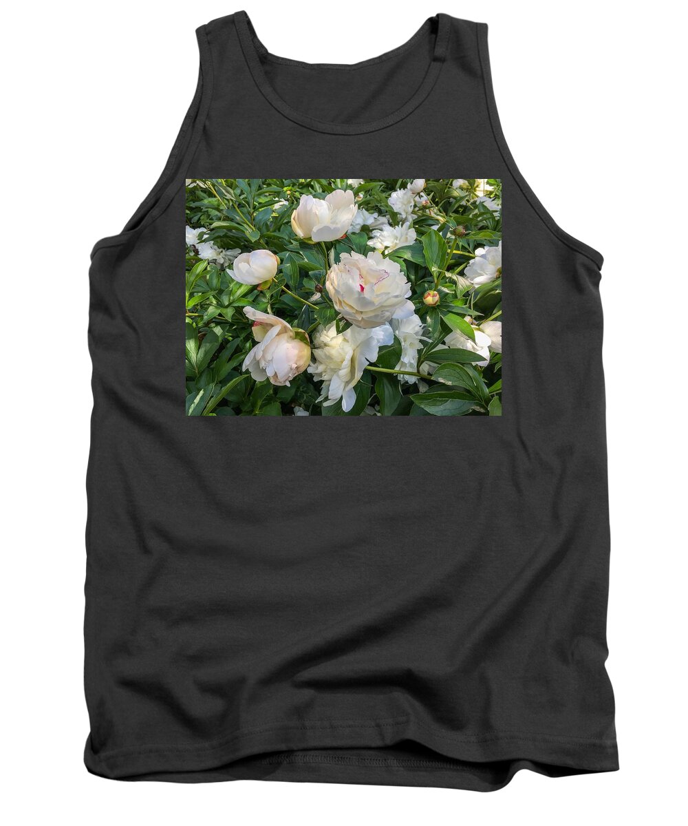 White Peonies Tank Top featuring the photograph White Peonies in North Carolina by Chris Berrier