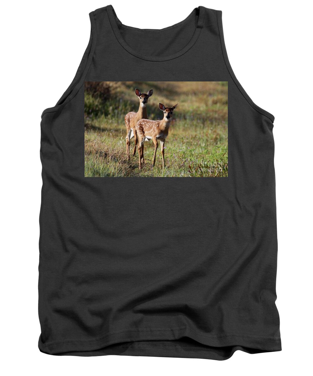 White-tailed Deer Tank Top featuring the photograph White-tailed Deer by Meg Rousher