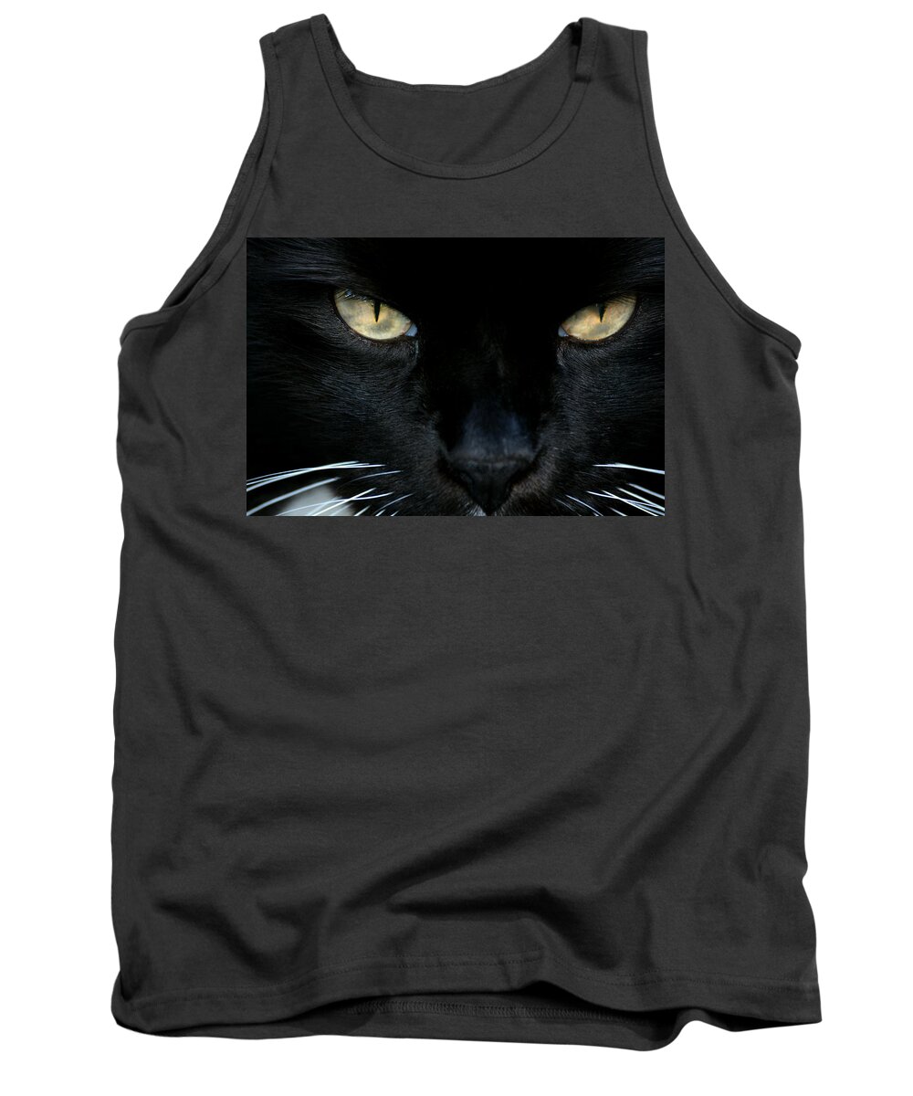 Cat Tank Top featuring the photograph White Whiskers by Lorenzo Cassina
