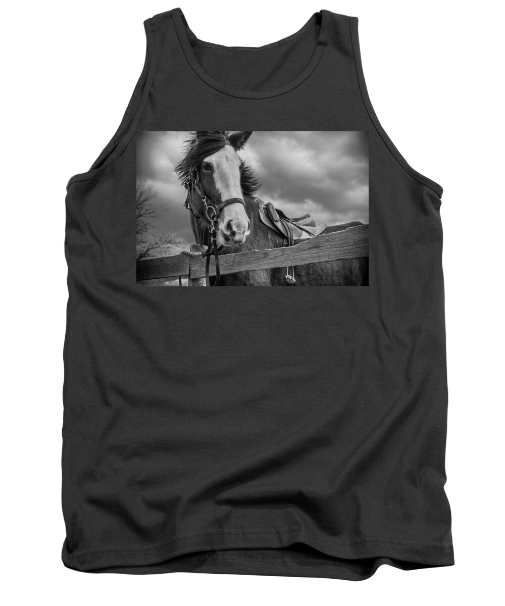 Long Valley Tank Top featuring the photograph Why Hello There by Kristopher Schoenleber
