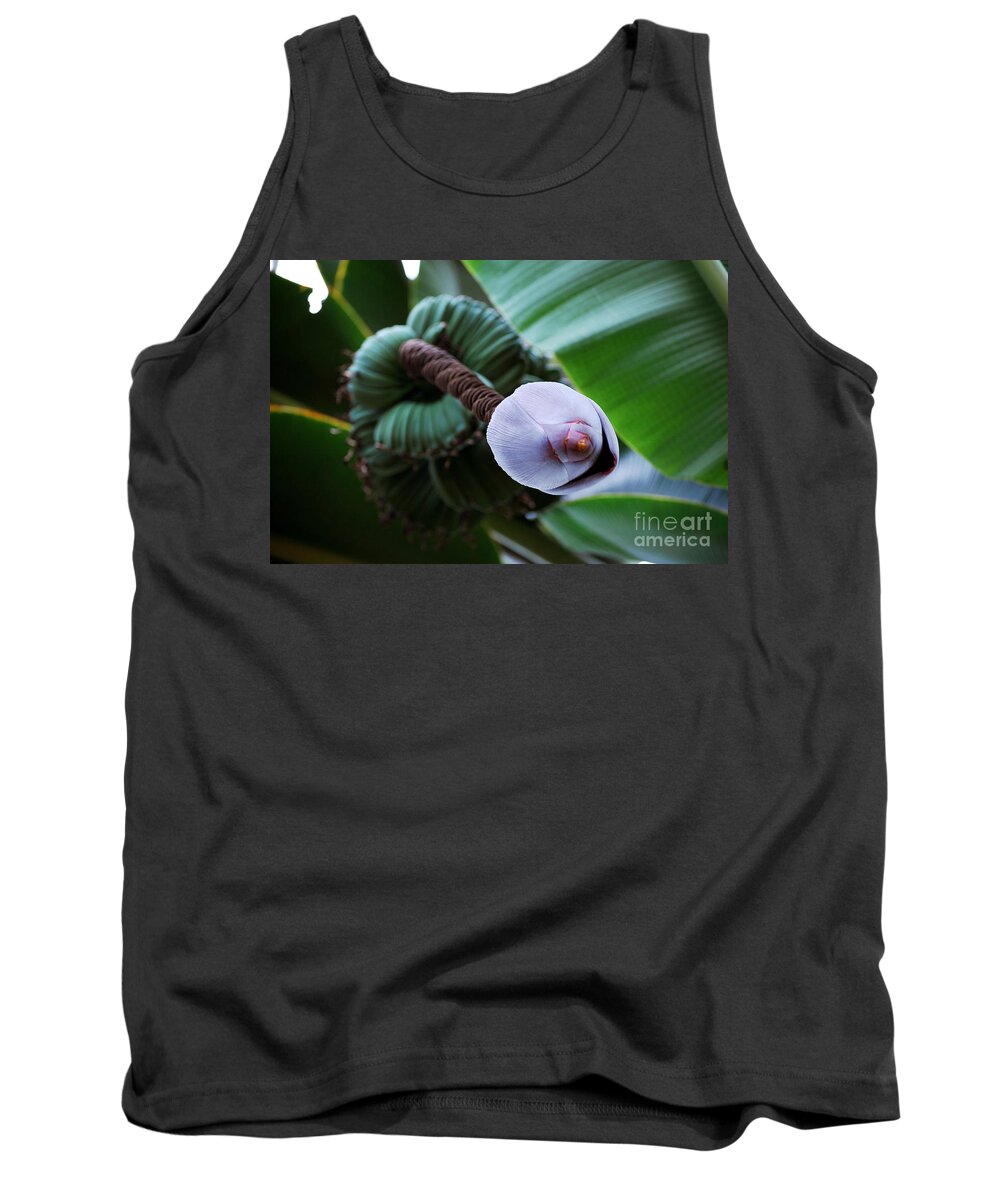 Banana Plant Tank Top featuring the photograph Wild Banana's by Robert Meanor