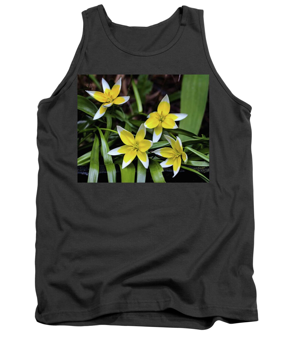Wild Tank Top featuring the photograph Wild Tulip Flowers by Jeff Townsend