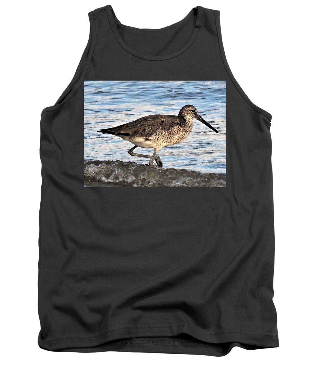 Bird Tank Top featuring the photograph Willet by Jerry Connally