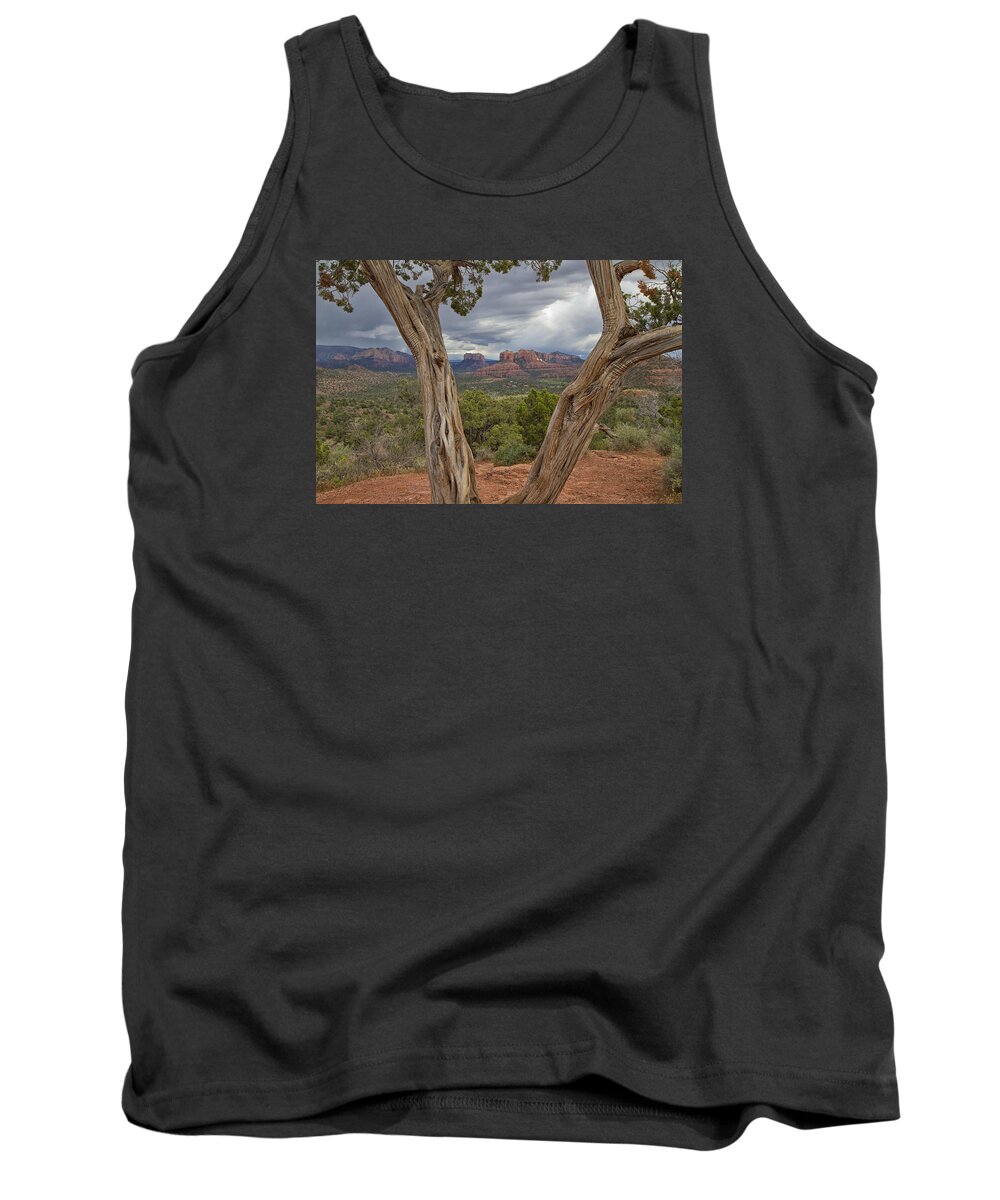 Window View Tank Top featuring the photograph Window View by Tom Kelly