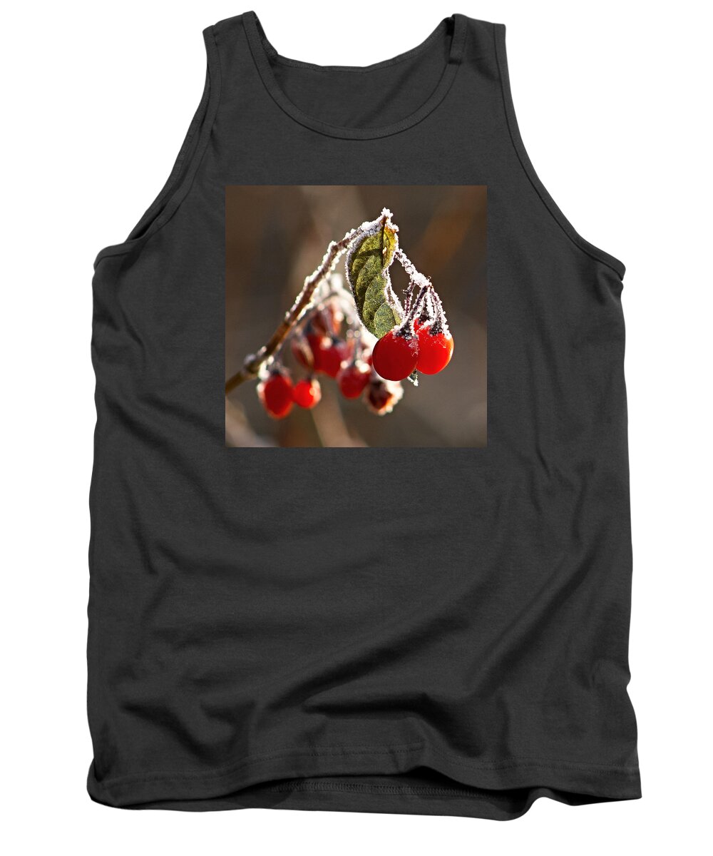 Berry Tank Top featuring the photograph Winter berries by Antonio Ballesteros