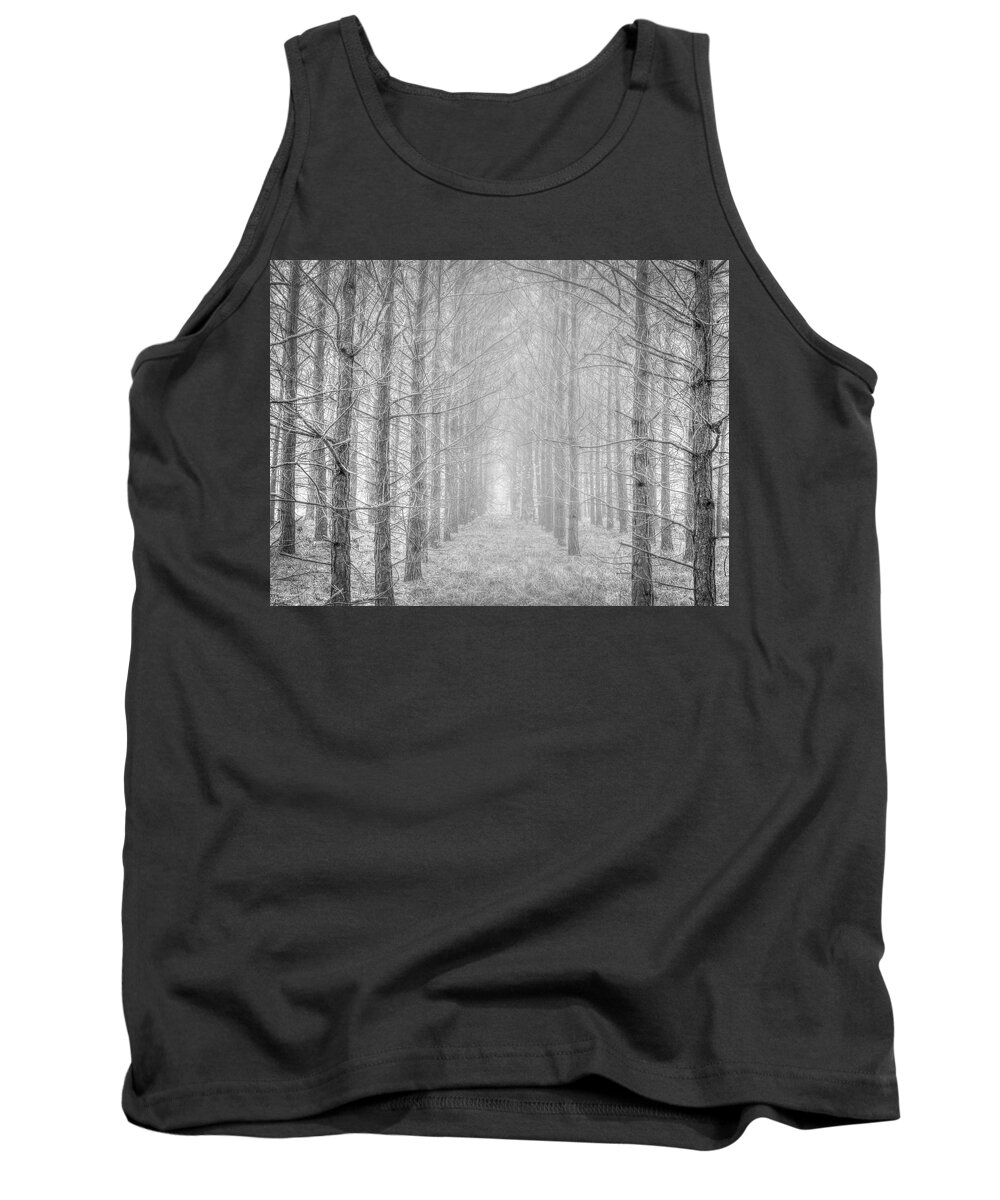 2017-12-17 Tank Top featuring the photograph Winter by Phil And Karen Rispin