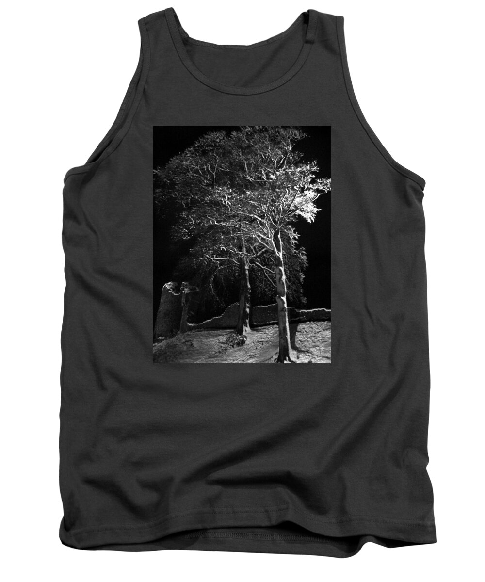 Winter Tank Top featuring the photograph Winter tree at night by Lukasz Ryszka