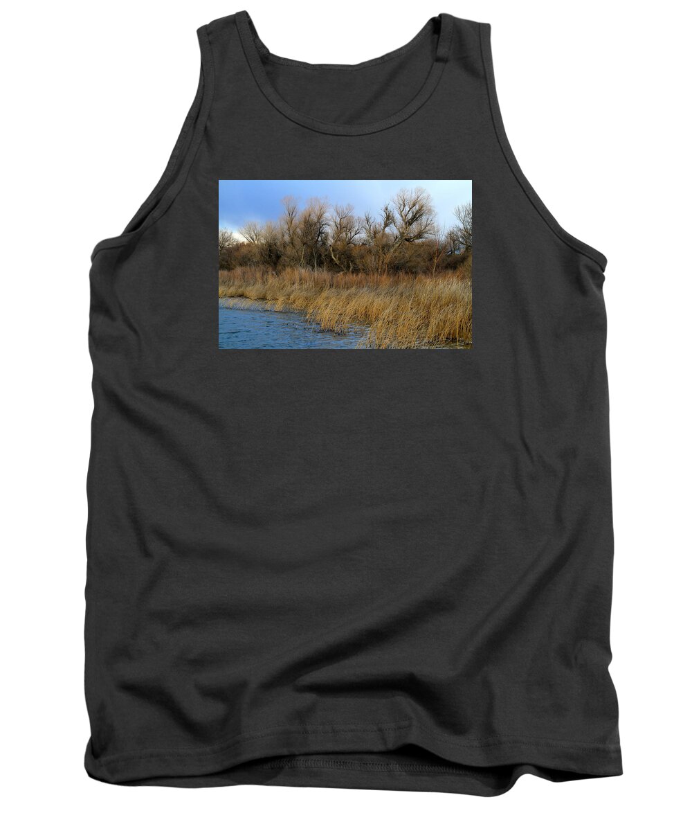 Snake River Tank Top featuring the photograph Winter Trees Along The Snake by Ed Riche