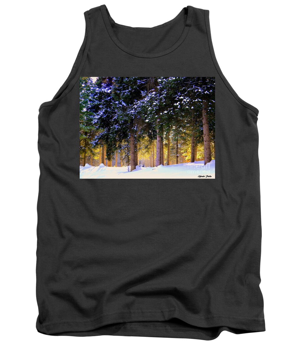 Sunlight Tank Top featuring the photograph Winter Wonder by Elfriede Fulda