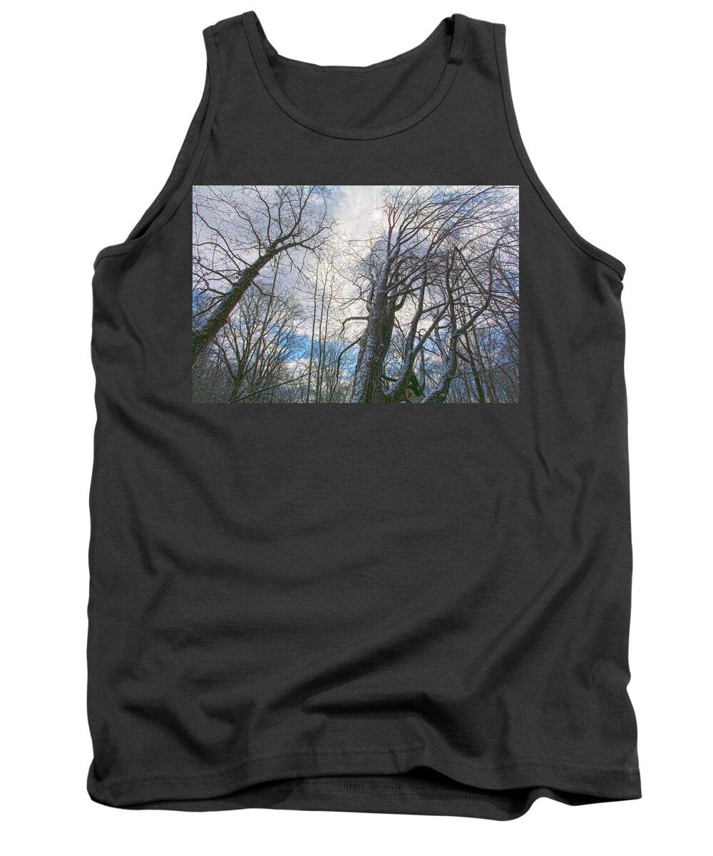 Wisdom Tank Top featuring the photograph Wisdom Of The Trees by Angelo Marcialis