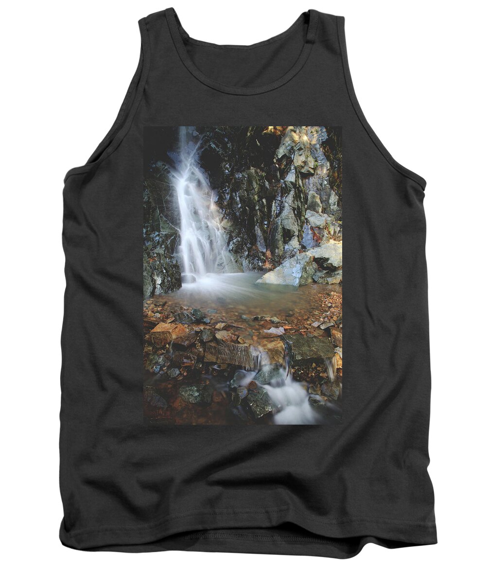 Ca Tank Top featuring the photograph With Heart and Soul by Laurie Search