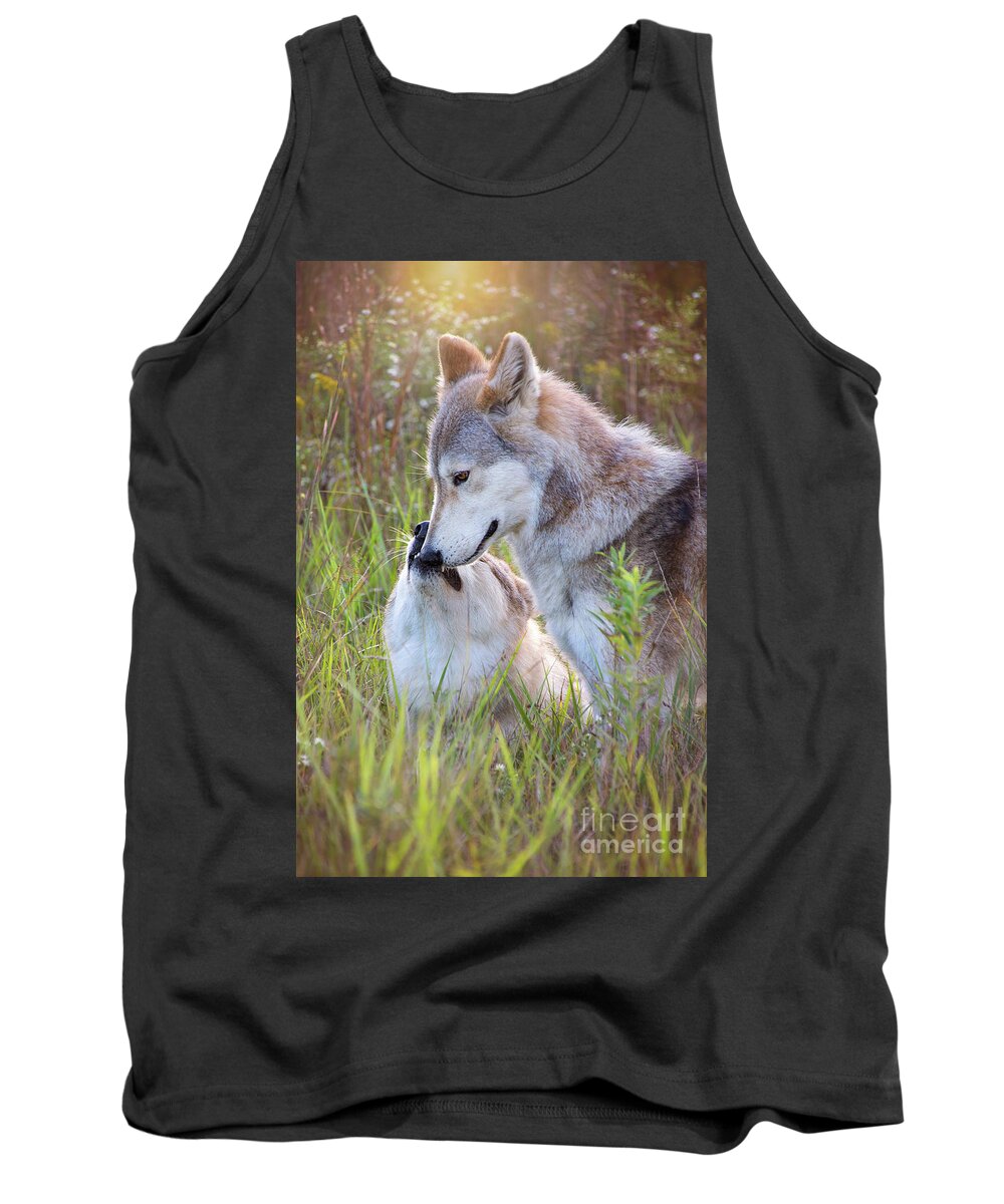 Canis Lupus Tank Top featuring the photograph Wolf Soul Mates by Sharon McConnell
