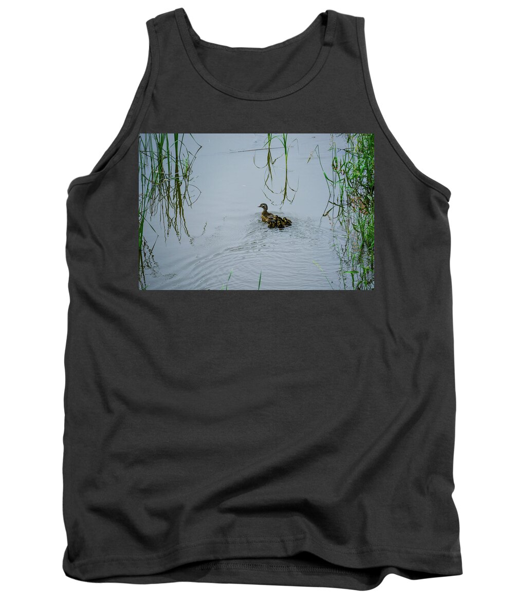 South Dakota Tank Top featuring the photograph Wood Duck Female and Brood by M Dale