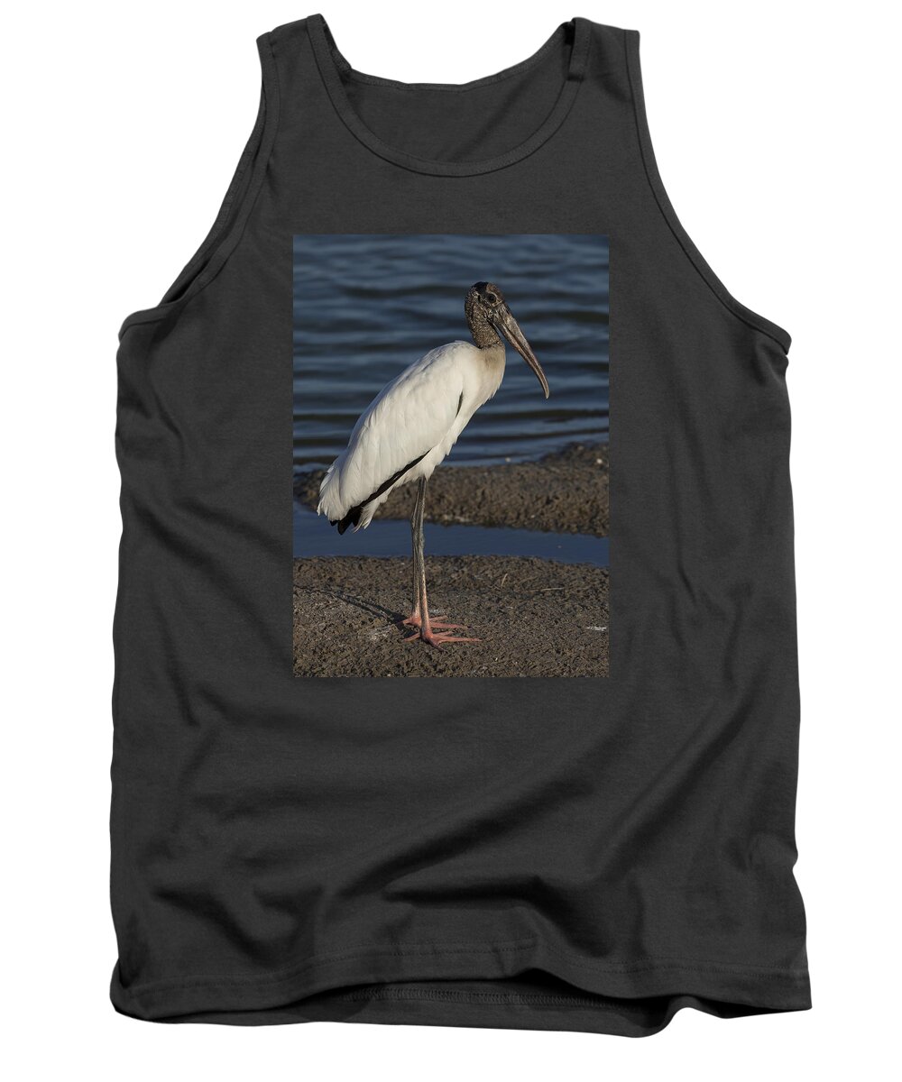 Wood Tank Top featuring the photograph Wood Stork in the final light of day by David Watkins