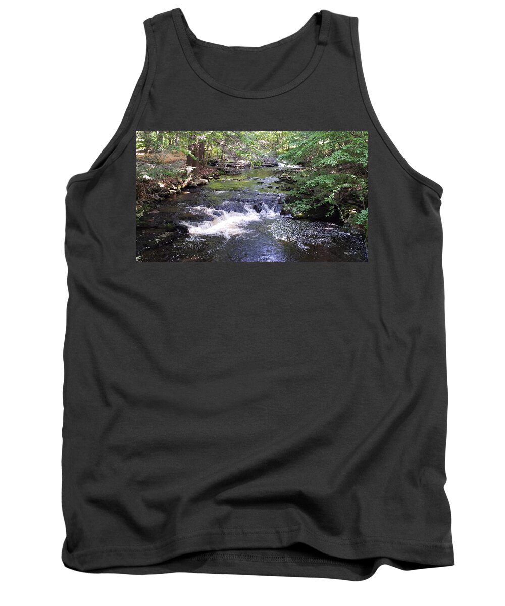 Woods Tank Top featuring the photograph Woodland Revery by Judith Rhue