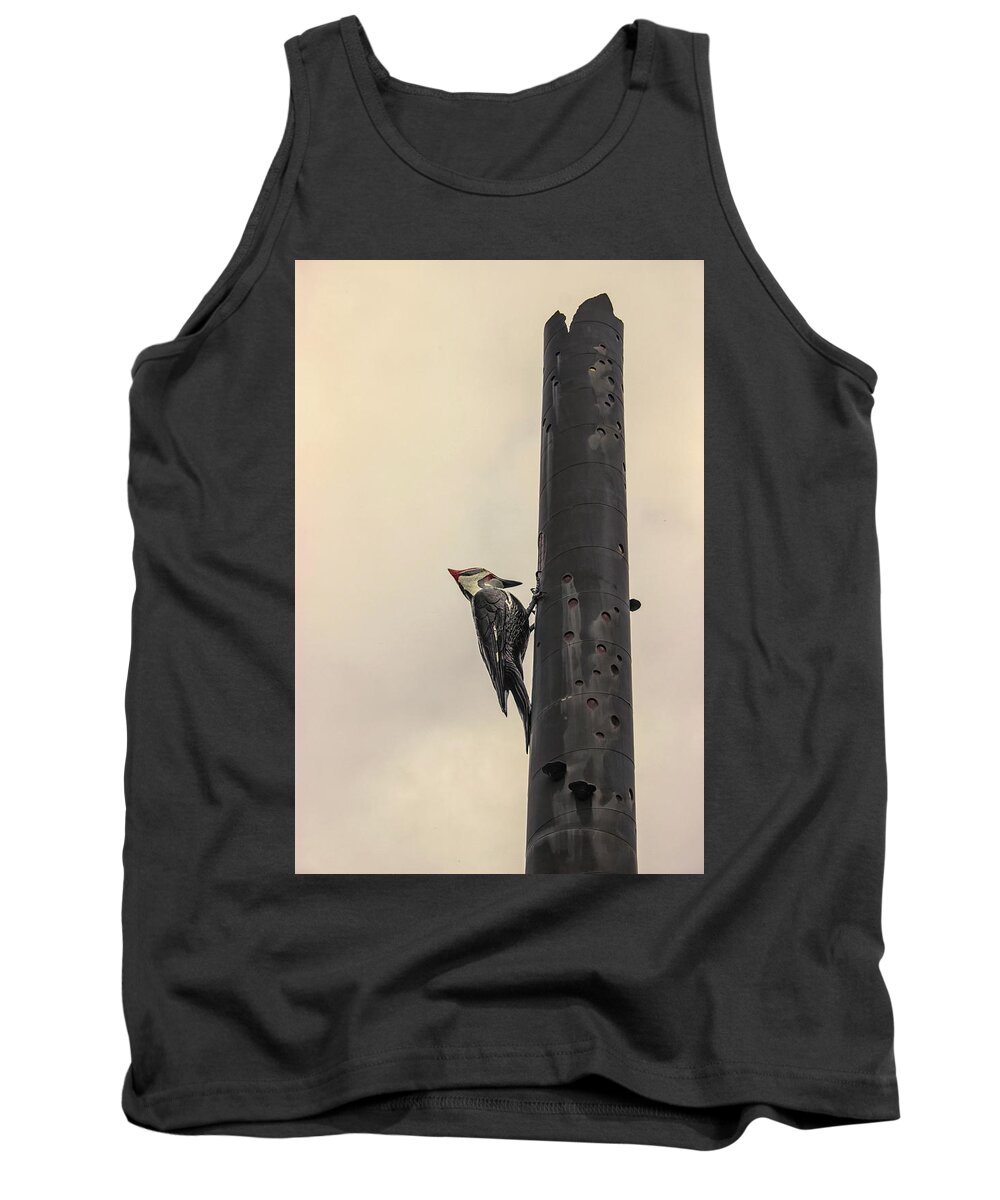 Woodpecker Tank Top featuring the photograph Woodpecker by Martin Newman