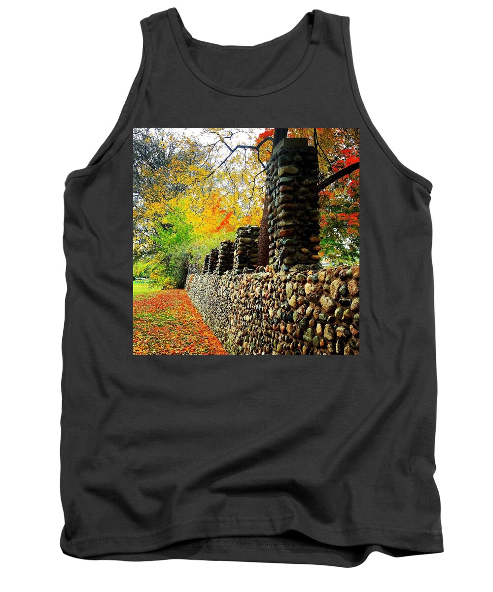 Alma Tank Top featuring the photograph Wright Park Stone Wall in Fall by Chris Brown