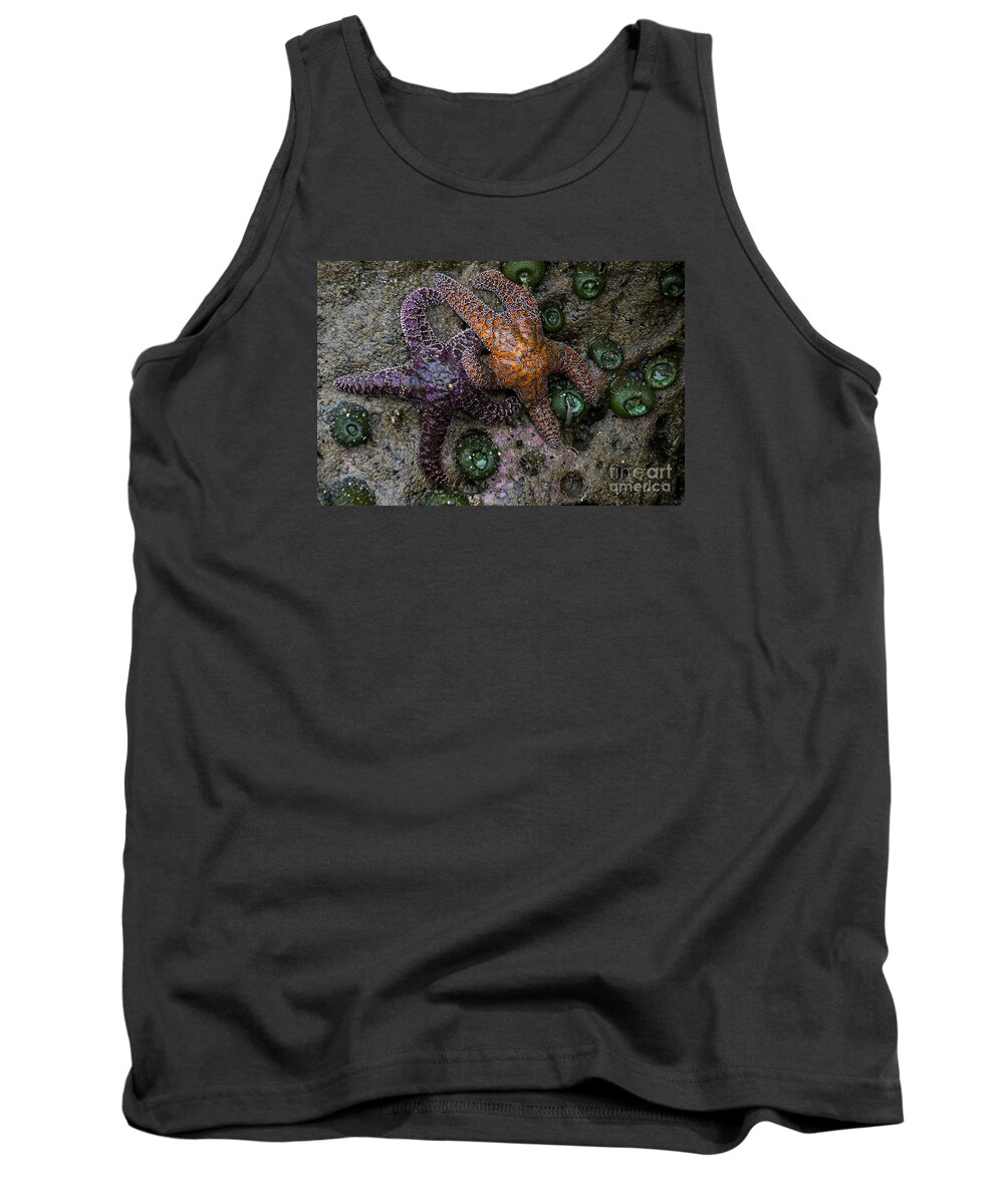  Tank Top featuring the photograph Orange and Purple Starfish II by Chuck Flewelling