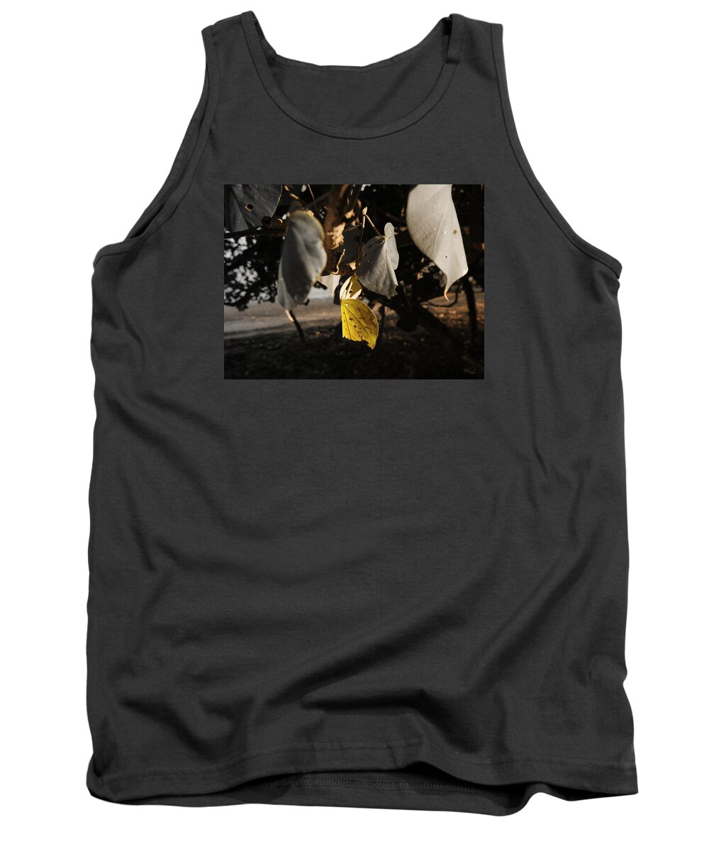 Nature Tank Top featuring the photograph Yellow Leaf by Michael Blaine
