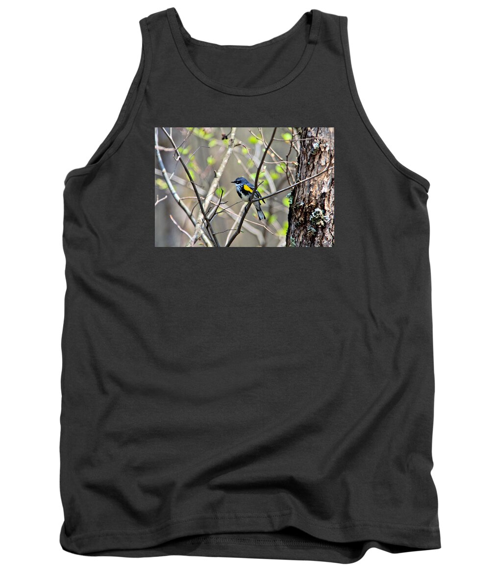 Yellow-rumped Warbler Tank Top featuring the photograph Yellow-rumped Warbler by Bill Morgenstern