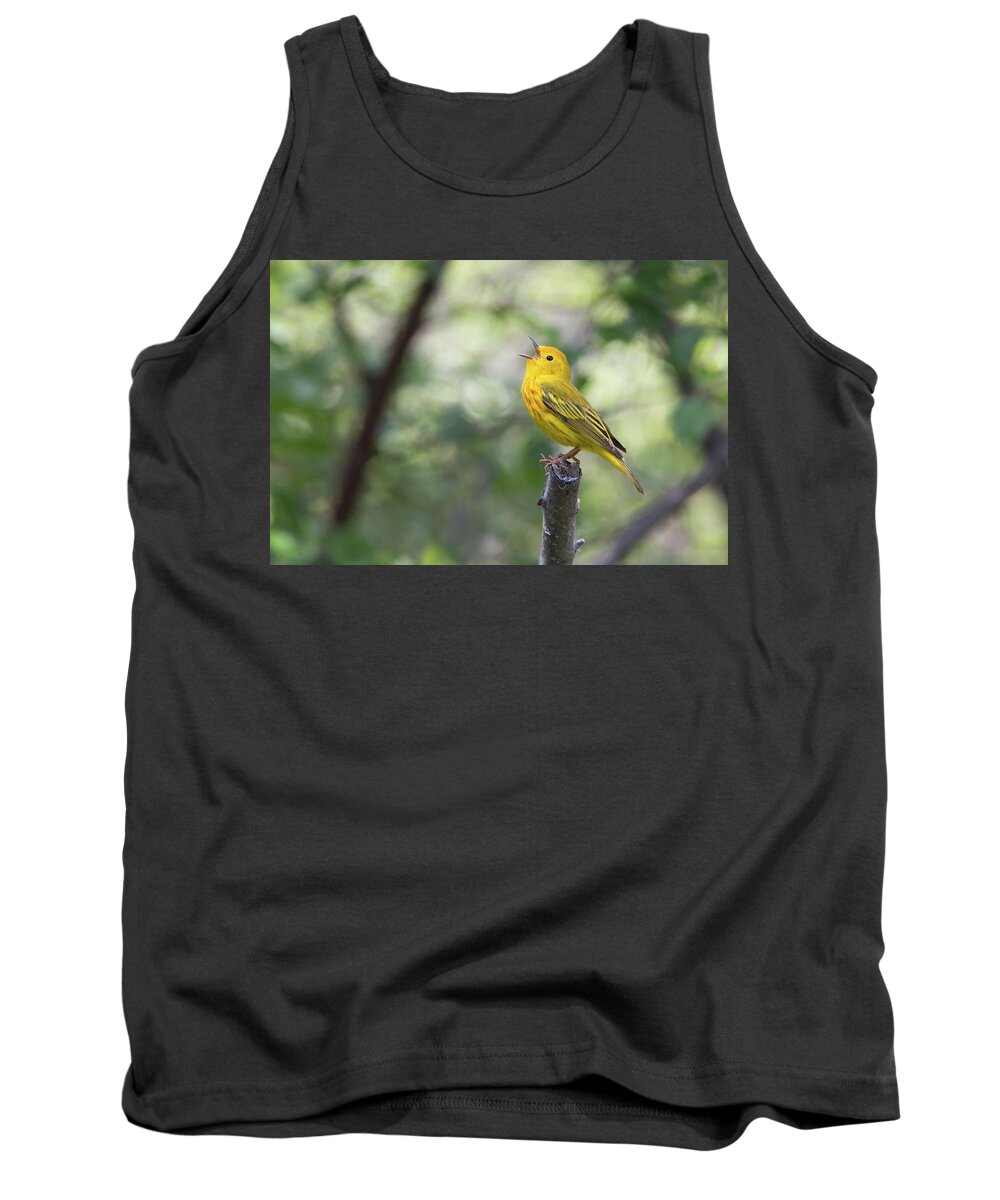 Bird Tank Top featuring the photograph Yellow Warbler in song by Celine Pollard