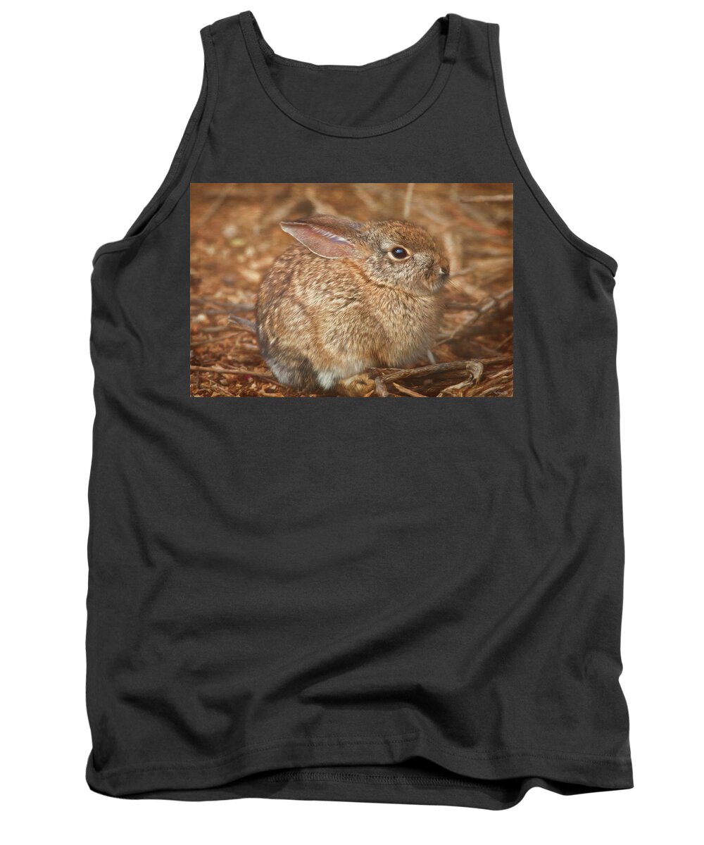 Rabbit Tank Top featuring the photograph Young Cottontail in the Morning by Teresa Wilson
