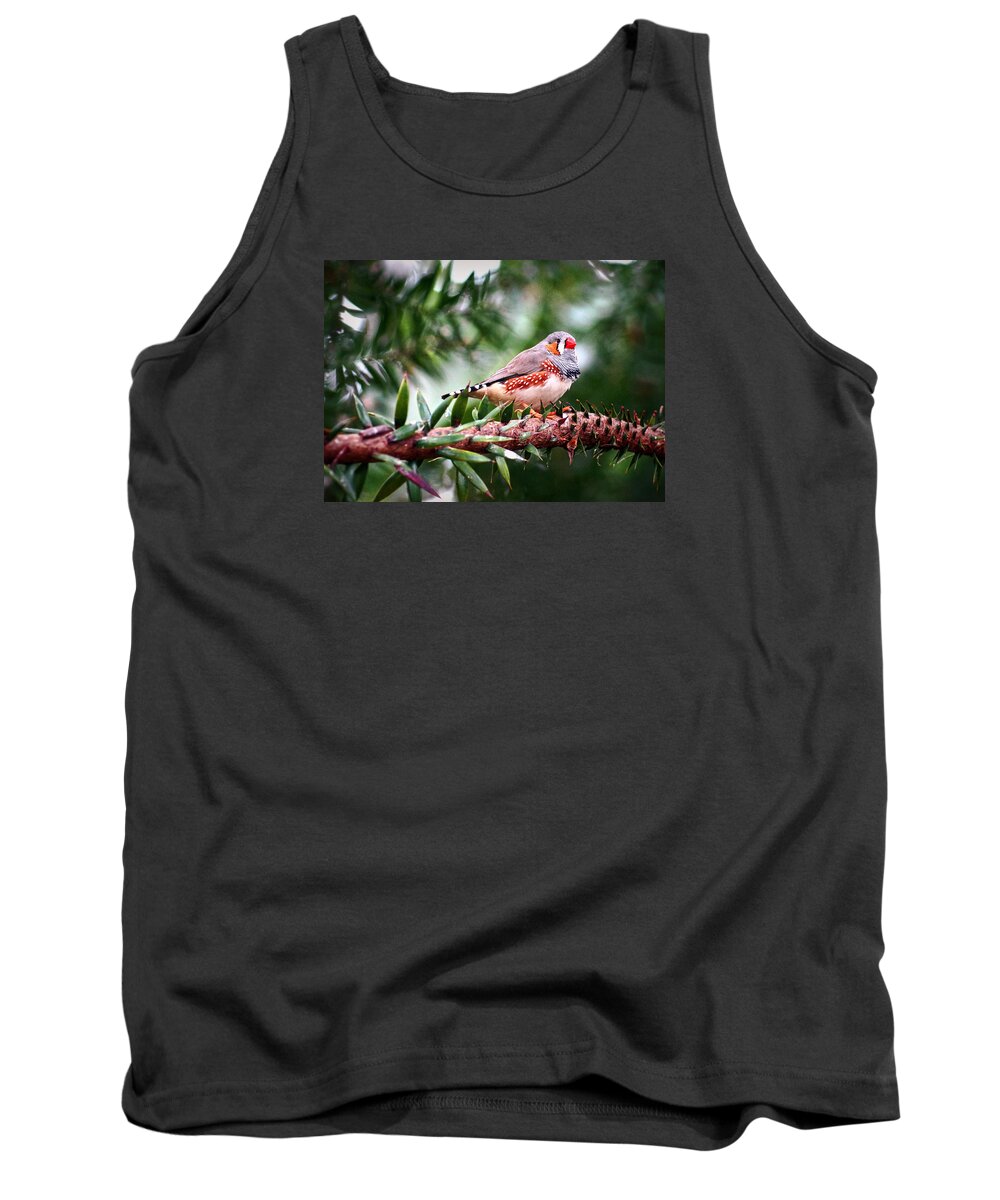 Bird Tank Top featuring the photograph Zebra Finch by Cameron Wood